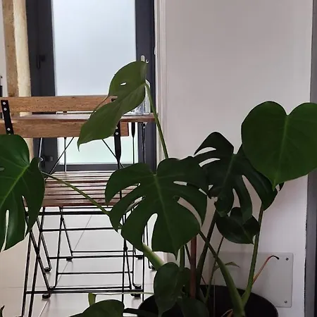 O Cabanel Apartamento *