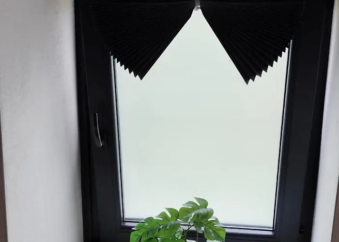 O Cabanel Finisterre