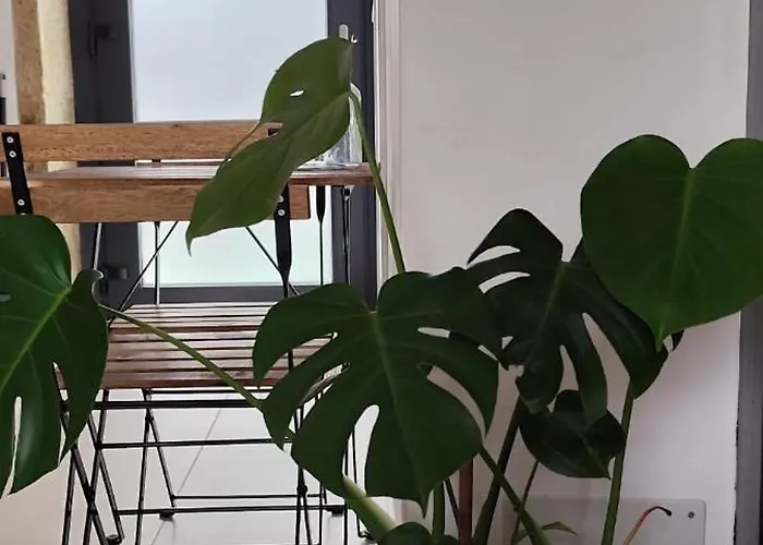 O Cabanel Lejlighed *